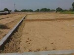 250 Sq.Yd. Plot in Sector 64