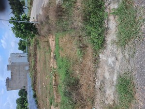  Plot For Sale in Alwar Bypass Road