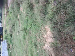  Plot – Garden View at Alwar Bypass Road - for Sale