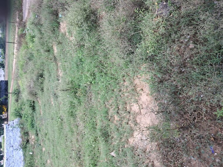 Garden, alwar bypass road  150 Sq.Yd. Plot In Alwar Bypass Road Alwar 10568040