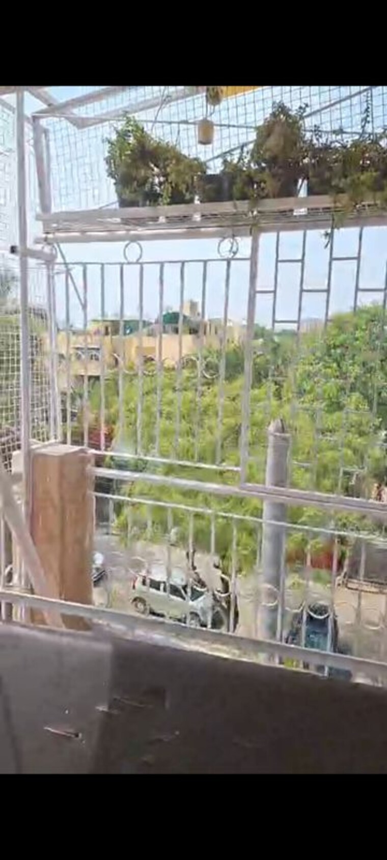 Balcony, rwa-apartments-sector-37 2 Bedroom 1250 Sq.Ft. Apartment In Sector 37 Noida 10567848
