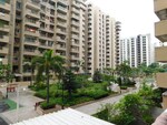 3.5 BHK 161 Sq.Yd. Builder Floor in Dwarika Raj Garden City