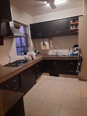 Kitchen in 3 BHK Builder Floor at Sector 22 – for Rent