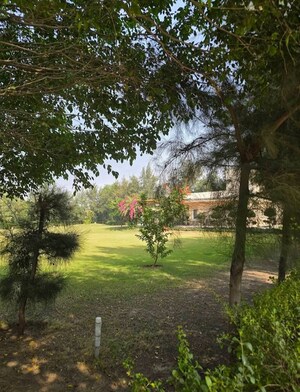  Plot For Sale in BPTP Amstoria, Sector 102
