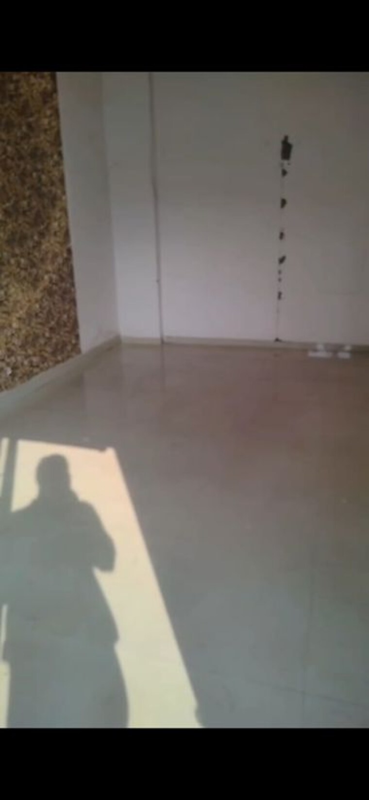 Room, windsor-paradise-2 Commercial Shop 310 Sq.Ft. In Raj Nagar Extension Ghaziabad 10568727