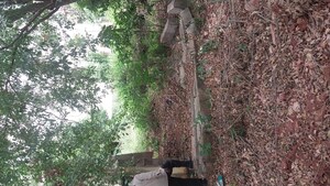  Plot For Sale in Hmt Layout