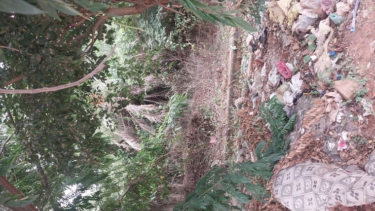 Garden, hmt layout  2400 Sq.Ft. Plot In Hmt Layout Bangalore 10568798