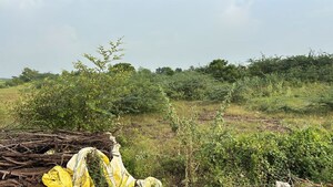  Plot For Sale in Koritepadu