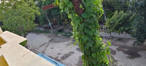 Balcony in 4 BHK Independent House at Vrindavan Yojna – for Sale