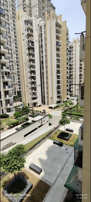 2 BHK Apartment For Rent in Aditya Urban Casa, Sector 78
