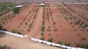 Plot Area in  Plot at BPTP District Faridabad, Sector 81 – for Sale