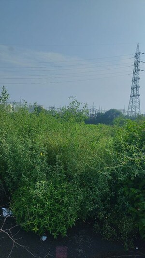 Plot Area in  Industrial Plot at Meerut Road – for Sale