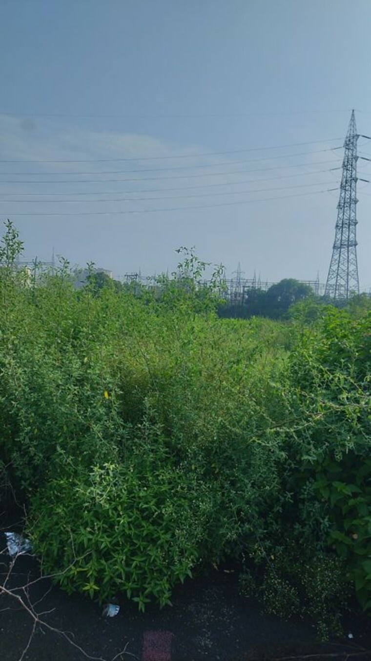 undefined, meerut road Commercial Industrial Plot 1500 Sq.Yd. In Meerut Road Ghaziabad 10569481