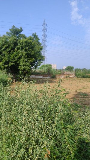 Plot Area in  Industrial Plot at Raj Nagar Extension – for Sale