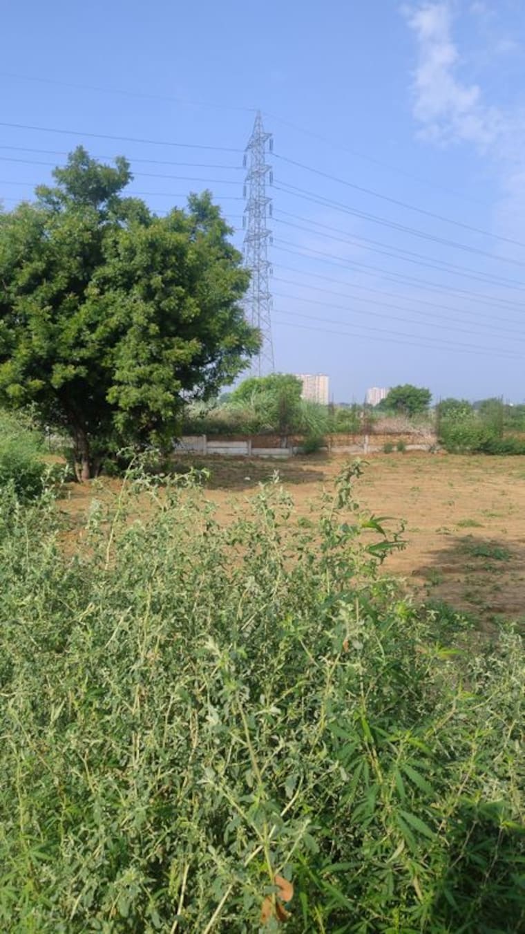 undefined, raj nagar extension Commercial Industrial Plot 1100 Sq.Yd. In Raj Nagar Extension Ghaziabad 10569494