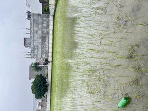  Plot For Rent in Manas Garden, Gomti Nagar