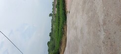 Plot For Sale in NH 3