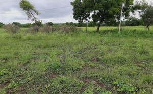 Plot Area in  Industrial Plot at Sikri – for Sale