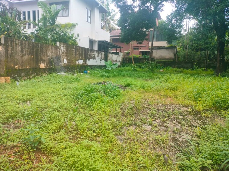 Garden, kanattukara  4356 Sq.Ft. Plot In Kanattukara Thrissur 10569768