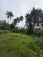 3920 Sq.Ft. Plot in Kaiparambu Jn