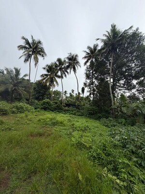  Plot For Sale in Kaiparambu jn