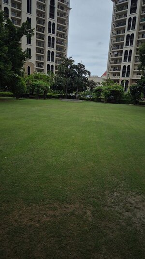 3 BHK Apartment – Garden View at DLF New Town Heights I, Sector 90 - for Sale