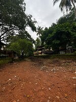3703 Sq.Ft. Plot in Patturaickal