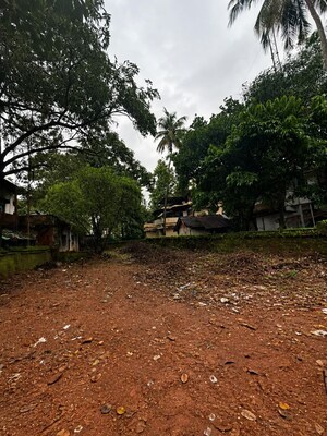  Plot For Sale in Patturaickal