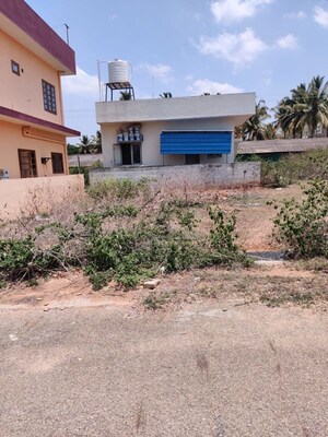  Plot For Sale in Jettihundi
