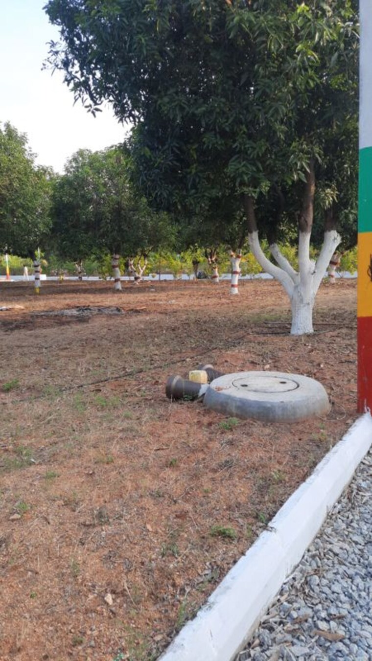 undefined, yadagirigutta  200 Sq.Yd. Plot In Yadagirigutta Hyderabad 10523709