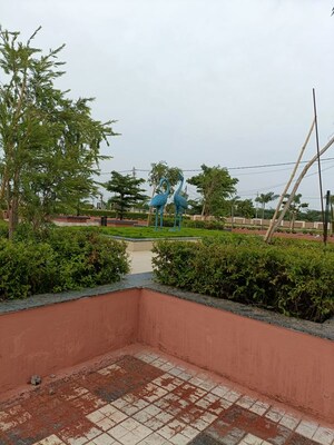 Plot Area in  Plot at Ringnodiya – for Sale