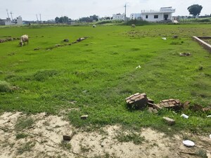  Plot For Sale in Babatpur