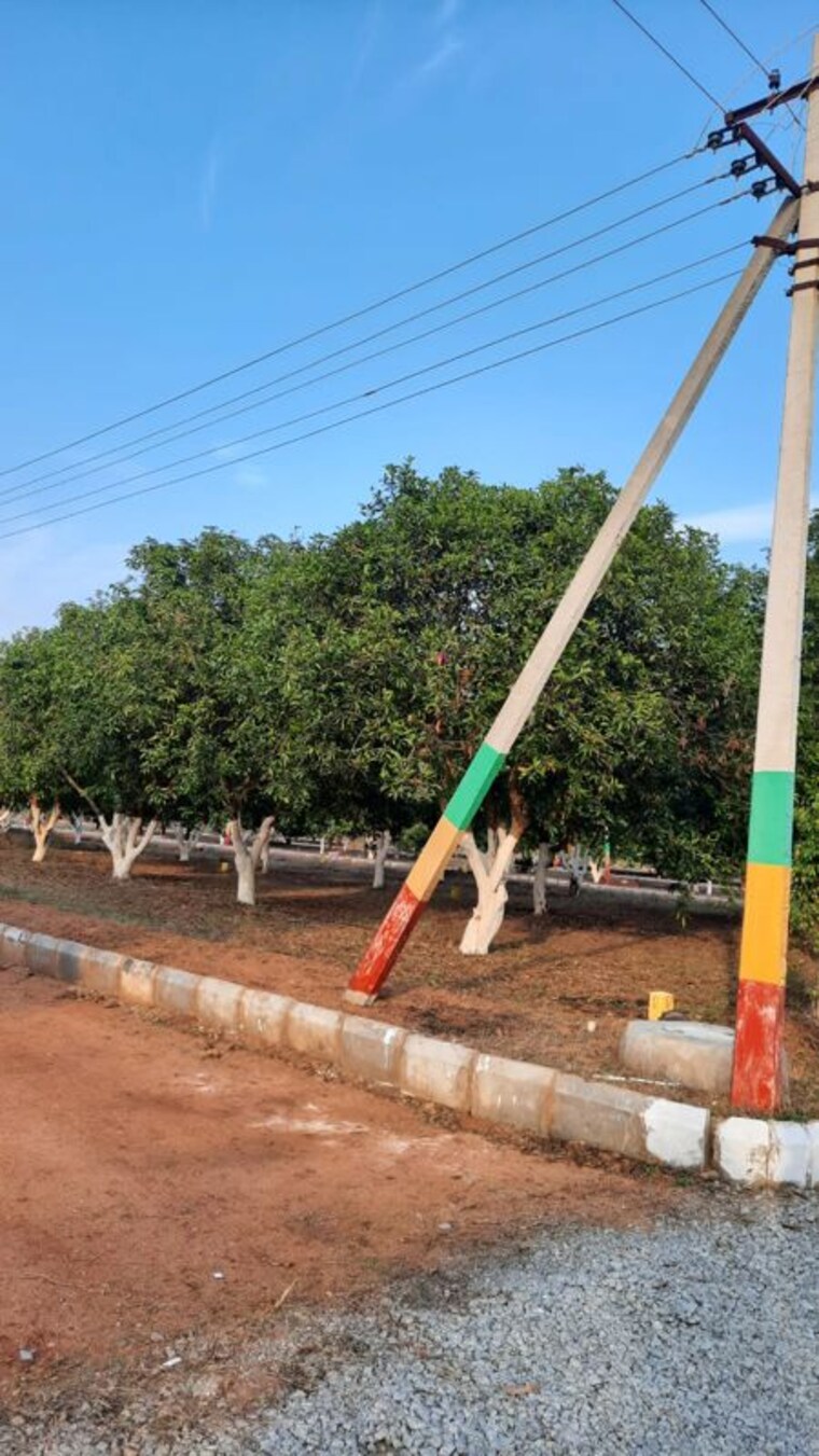 undefined, jsr-zircon  200 Sq.Yd. Plot In Burgula Village Hyderabad 10569995