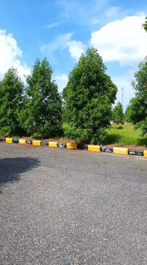  Plot For Sale in JSR Zircon, Burgula Village