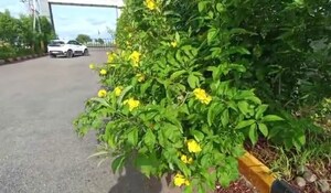   Plot at Yadagirigutta – for Sale
