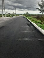 300 Sq.Yd. Plot in Siddapur