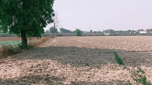 Plot Area in  Plot at Jattari – for Sale