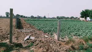 Plot Area in  Plot at Jattari – for Sale