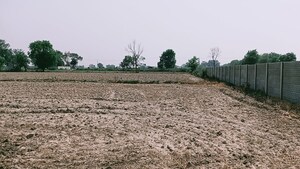  Plot For Sale in Jattari