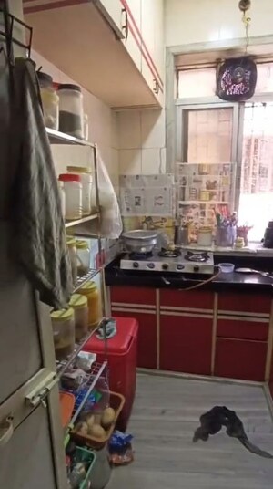 Kitchen in 3 BHK Apartment at Churchgate – for Sale