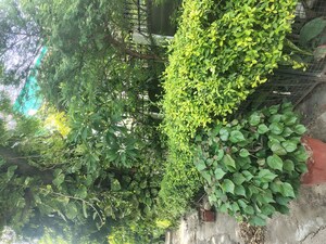 5 BHK Villa – Garden View at Sector 55 - for Sale
