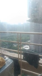 1 BHK 495 Sq.Ft. Apartment in Paras Tierea