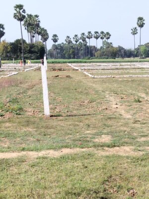 Plot Area in  Plot at Bihta – for Sale
