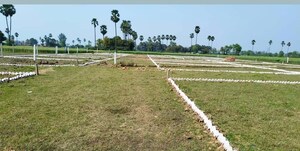 Plot Area in  Plot at Bihta – for Sale