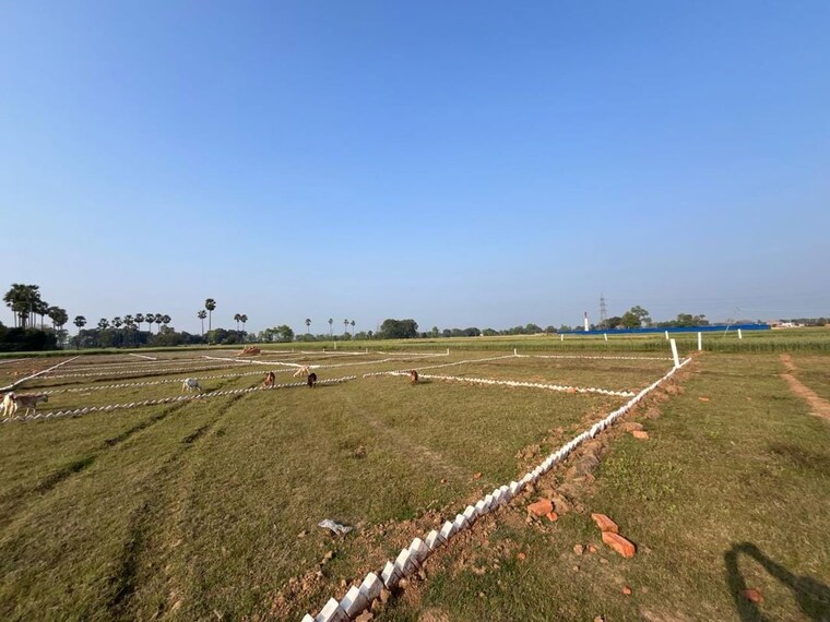 undefined, bihta  1200 Sq.Ft. Plot In Bihta Patna 10570336