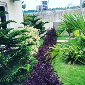 Balcony in 3 BHK Villa at Praneeth APR Pranav Antilia, Bachupally – for Sale