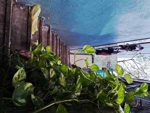 Staircase in 2 BHK Independent House at Old Washermanpet – for Sale