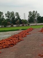 100 Sq.Yd. Plot in Sector 148