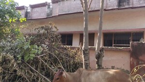 1 BHK Independent House For Sale in Vrindavan Yojna