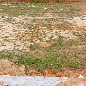 Plot Area in  Plot at Harhua – for Sale
